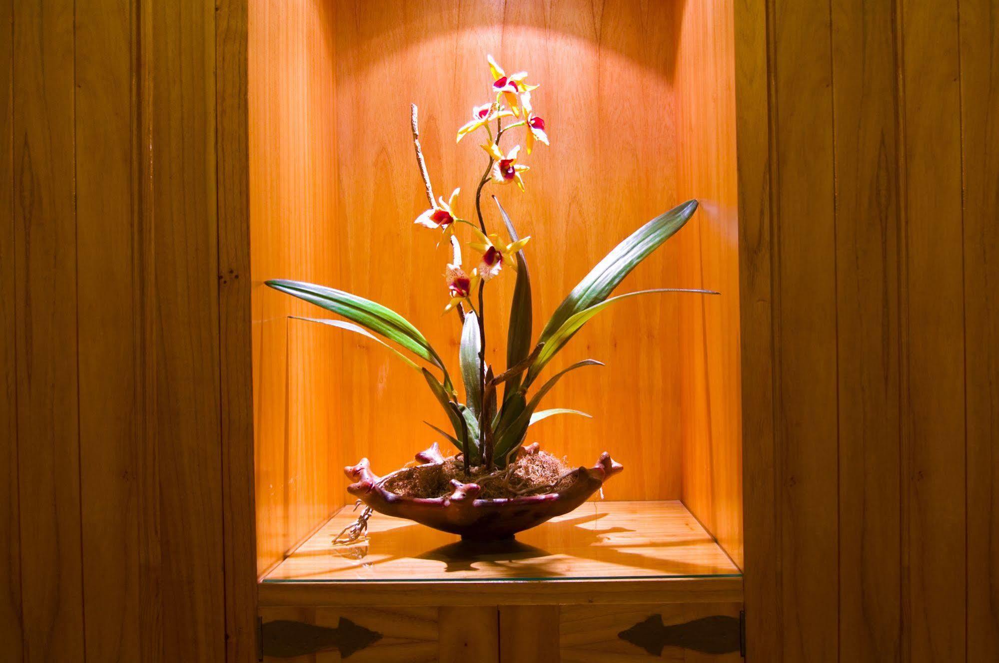 Hotel Las Margaritas อะซุนซิออง ภายนอก รูปภาพ